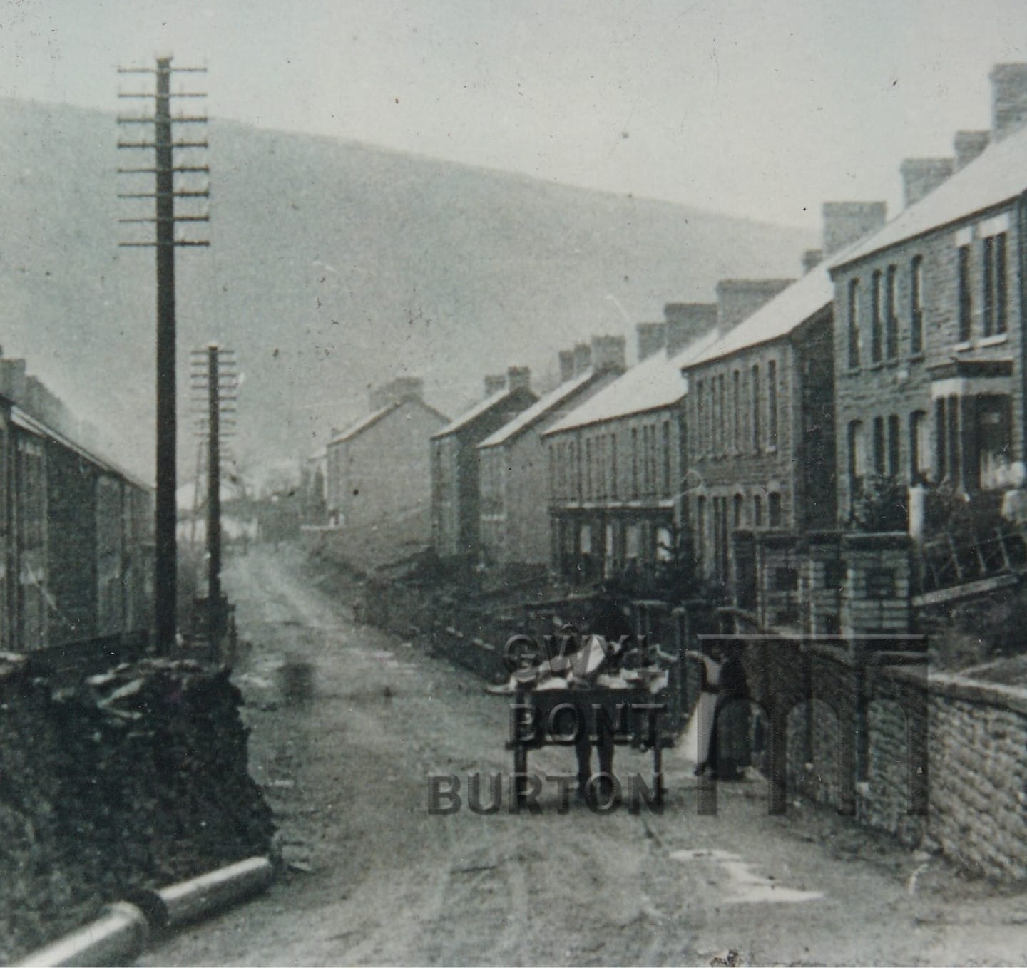 black and white photo of terraced houses with horses in lane