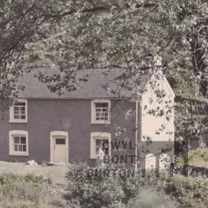 who lived in my house Dan Y Bont