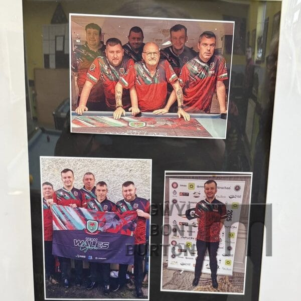 Poster of the Welsh Learning Disabilities Pool Team